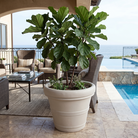 Outdoor Concrete Planter 26 Inch Round Weathered Resin Patio Pot for Garden Plants or Small Trees